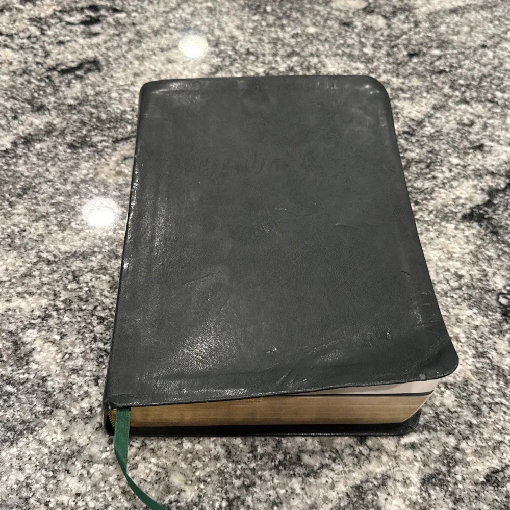 CATHOLIC YOUTH BIBLE--NSRV Catholic Edition-2010 Flexible Leatherette-SUPERB!‎